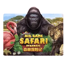 Big-Game-Safari